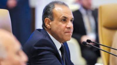 وزير الخارجية: المرحلة المقبلة ستشهد تحركات للحصول على دعم «التعاون الإسلامى» والمجتمع الدولى