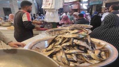 حملات رقابية مشددة على محال بيع الأسماك المملحة