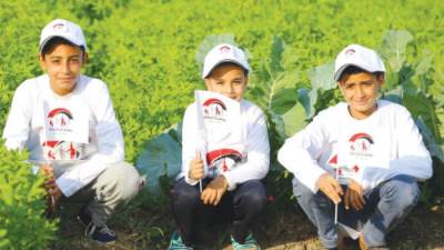  3650 يومًا من الحماية الاجتماعية