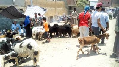 حظر الشوادر بالمدن