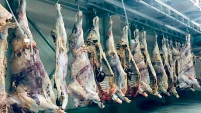 المجازر تفتح أبوابها بالمجان لحماية البيئة   وصحة المواطنين