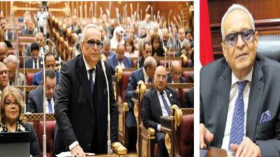 رفضت عرض الإخوان بتولى وكالة برلمان 2012.. والسيد البدوى «شاهد»