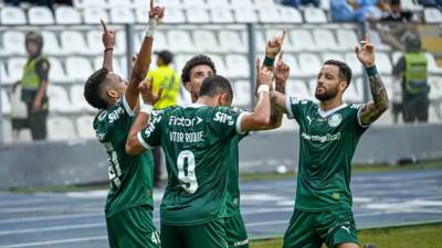  «بالميراس».. عنيد وقوى وقيمته التسويقية تتخطى الـ254 مليون يورو