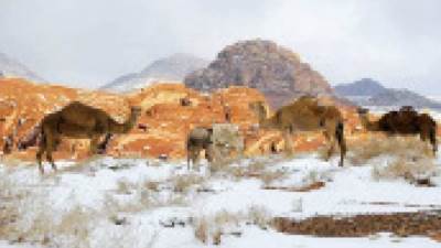  رسوم زيارة المحميات الطبيعية وأماكنها