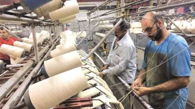 الدولة تعيد القطن المصرى إلى الصدارة العالمية