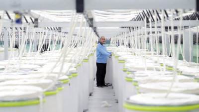 كيف تعافت مصر من نزيف 25 يناير الاقتصادى؟ 