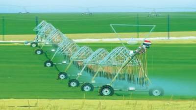 الزراعة المصرية تستعيد قوتها.. ومعدلات  غير مسبوقة للصادرات