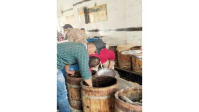 «نبروه».. مقصدًا للآلاف لشراء الفسيخ