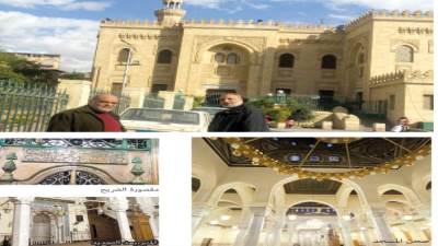 «أم الحنان».. فى سوق السلاح
