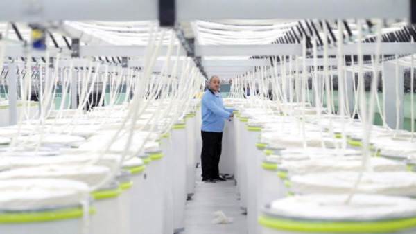 كيف تعافت مصر من نزيف 25 يناير الاقتصادى؟ 